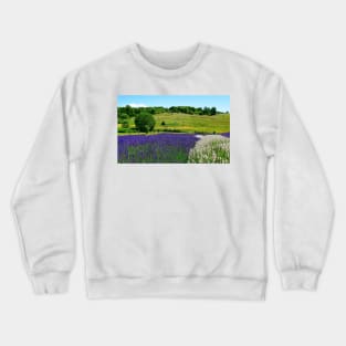 Hilly Lavender Countryside Crewneck Sweatshirt